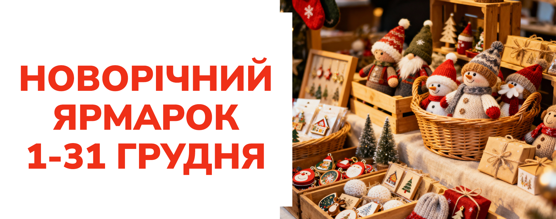 1900x750-24-11-2025-3